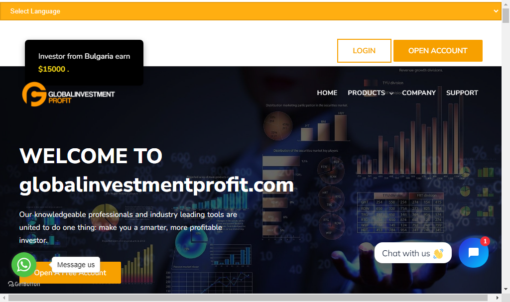 GlobalInvestment Profit Review