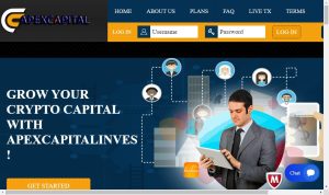 Apex Capital Investment Company Review