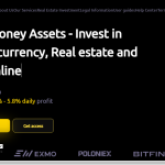 Cash Money Assets Review